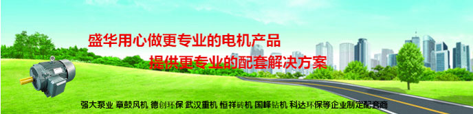山東電機廠,電機廠家,變頻電機廠,變頻調(diào)速電機